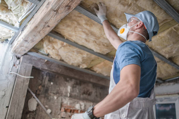 Best Energy Efficiency Solutions in Pecatonica, IL